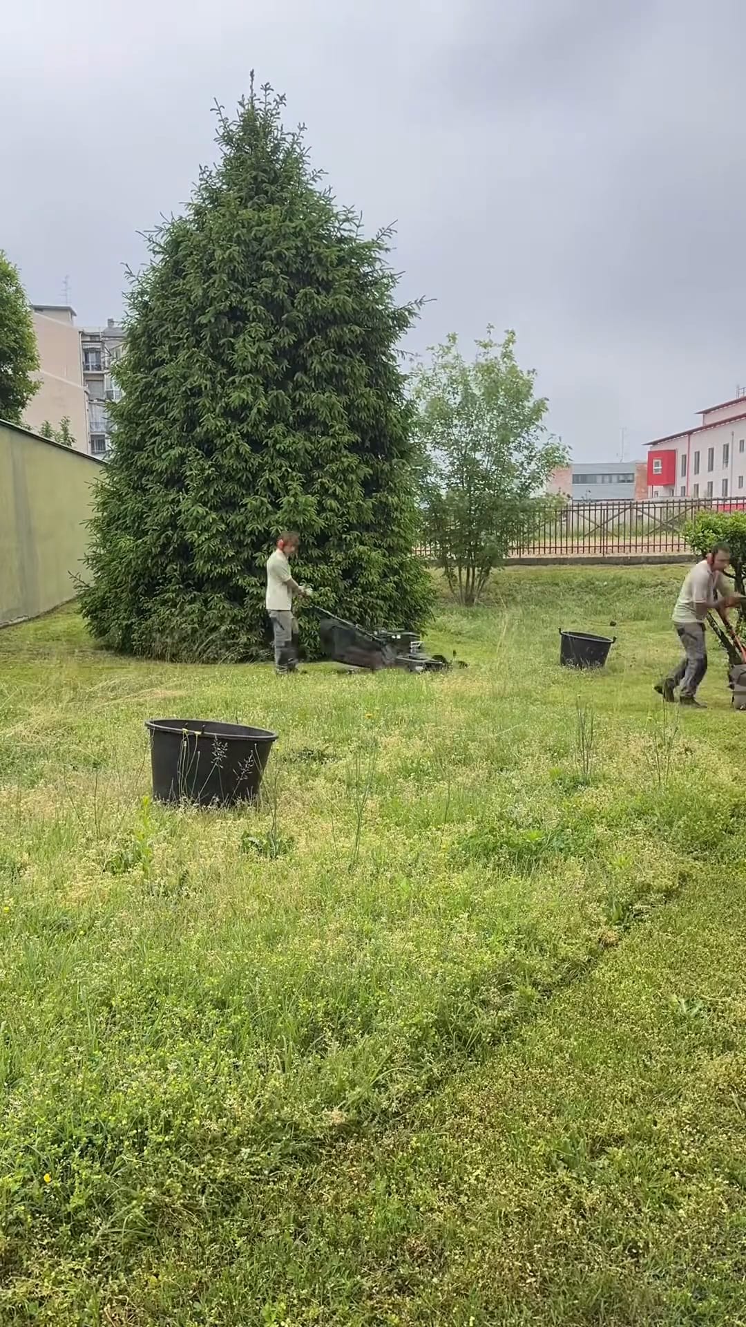 Fotogramma del video di Verde Vercelli sul taglio del prato